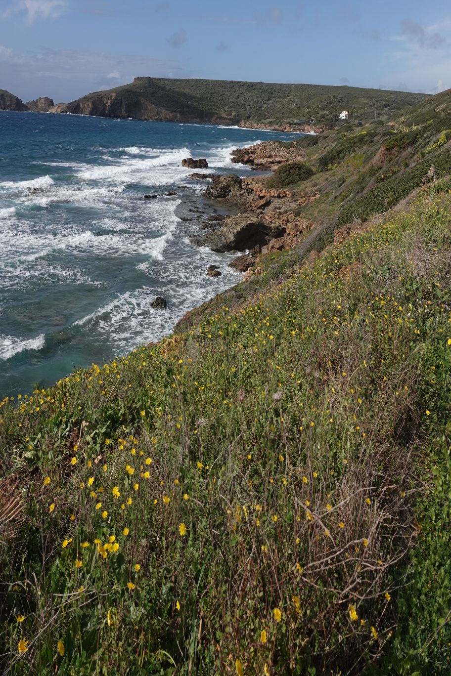ES_06448.JPG