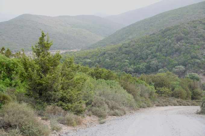 ES_07498.jpg