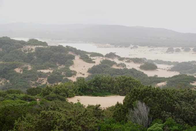 ES_07497.jpg