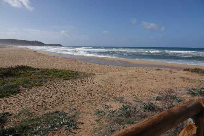 ES_07506.jpg