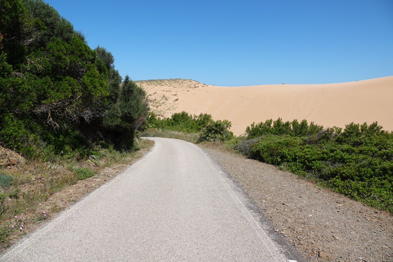ES_08090.JPG