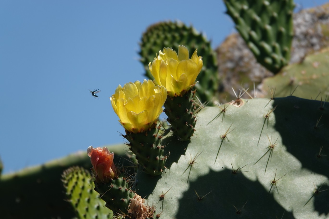 ES_08095.JPG