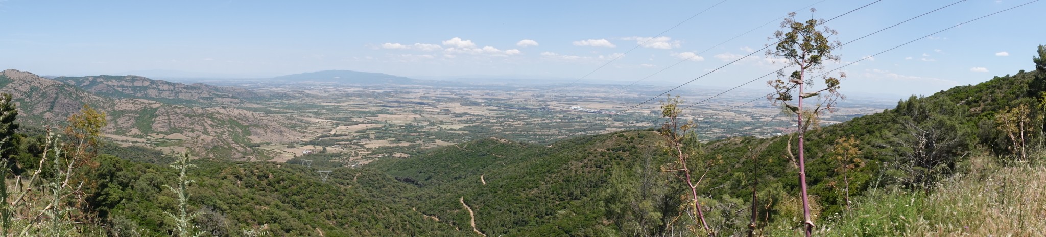 ES_08120.JPG